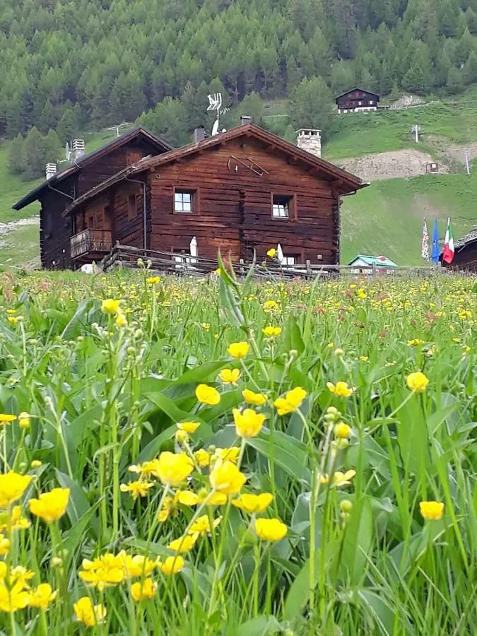 Bait Dossalt Apartment Livigno